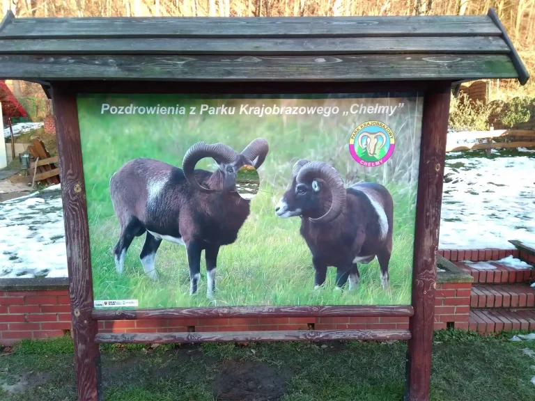 PVC-Informationsschild im Holzrahmen mit Tiermotiv fuer Park Krajobrazowy Chelmy