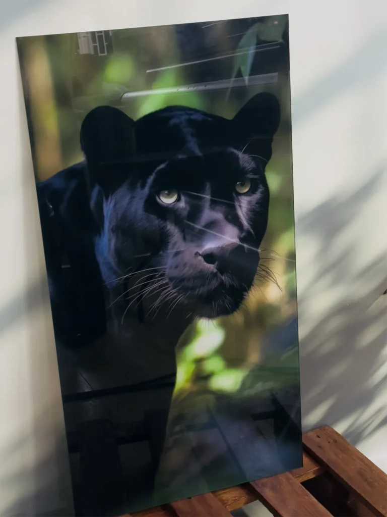 UV-Druck auf Acrylglas mit schwarzem Panther im Grünen
