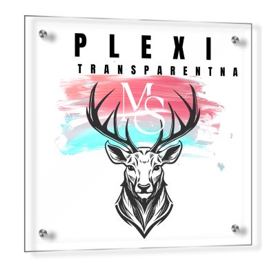 Pleksi transparent
