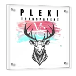 transparent-plexiglass-schild 1